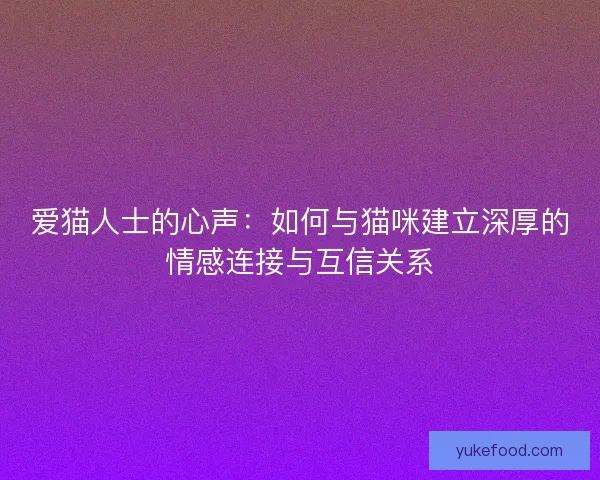 爱猫人士的心声：如何与猫咪建立深厚的情感连接与互信关系