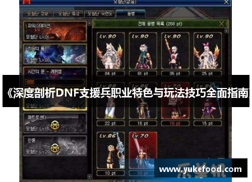 《深度剖析DNF支援兵职业特色与玩法技巧全面指南》