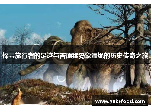 探寻旅行者的足迹与苔原猛犸象缰绳的历史传奇之旅