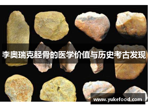 李奥瑞克胫骨的医学价值与历史考古发现